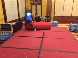 輝瑞-派格GKA研發(fā)項目簽約儀式搭建中